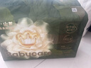 babycare金山茶花紙尿褲透氣輕柔嬰兒花苞褲尿不濕夏日尿布新老包裝混發(fā) 迷你裝NB碼 1包 34片 【≤5KG】 曬單實(shí)拍圖