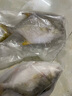 三只海豚特大金鯧魚(yú)凈重2斤 2條裝 深海魚(yú) 新鮮冷凍 生鮮魚(yú)類(lèi)海鮮水產(chǎn)年貨 曬單實(shí)拍圖