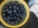 國產(chǎn)云南超大果云南藍莓【JD快遞】精選新鮮藍莓 孕婦水果 4盒裝 多買(mǎi)多劃算【70-90g/盒】 中果【單果15mm+】 曬單實(shí)拍圖