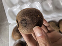 京鮮生 陜西徐香綠心獼猴桃 30粒單果60-80g 新鮮水果 源頭直發(fā) 包郵 曬單實(shí)拍圖