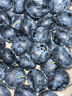 云南高山藍莓新鮮現采現摘 藍莓15mm+100g-125g 6盒 曬單實(shí)拍圖