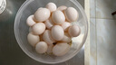 趣嘗鮮名特優(yōu)新鴿子蛋 30枚禮盒 凈重600g 雜糧喂養新鮮鴿子蛋 源頭直發(fā) 曬單實(shí)拍圖