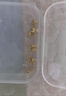 洲足金999金珠黃金小金珠金豆古法金珠DIY配件散珠隔珠路路通轉運珠 3mm金珠  合單滿(mǎn) 0.16g 包郵 單顆約0.02g 曬單實(shí)拍圖