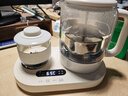 olayks立時(shí)組合養生壺0.8L辦公室小型一人煮茶壺 家用迷你燒水壺煮茶器花茶壺 加熱恒溫杯墊套裝 0.8L 分區暖杯燉煮 曬單實(shí)拍圖