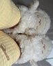 名創(chuàng  )優(yōu)品（MINISO）羊咩咩棉拖鞋女冬季包跟家居室內厚底月子毛毛拖鞋白色36-37 曬單實(shí)拍圖