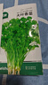 北蔬香菜種子苗老品種四季盆栽大葉芫荽陽(yáng)臺菜籽 大葉香菜籽種子600粒 曬單實(shí)拍圖