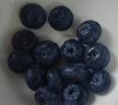 云南高山大藍莓500g 18mm 曬單實(shí)拍圖