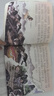 漫繪西游記注音版兒童繪本全套10冊帶拼音京東正版圖書(shū) 西游記連環(huán)畫(huà)原著(zhù)3-6-8歲幼兒圖畫(huà)故事書(shū)幼兒園 小學(xué)生版一二年級課外閱讀必讀書(shū)籍 中國神話(huà)故事漫畫(huà)經(jīng)典四大名著(zhù)有聲小人書(shū)少兒讀物兒童書(shū)省錢(qián)卡 曬單實(shí)拍圖