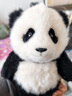 熊貓工廠(chǎng)大頭系列仿真福寶熊貓玩偶公仔毛絨玩具娃娃生日節日禮物送禮 【禮盒裝】大頭系列-福寶 骨架款 曬單實(shí)拍圖