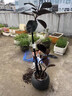 狼豹黑金剛橡皮樹(shù)客廳綠植高級感大盆栽植物輕奢辦公室內落地高端好養 單飄-黑金剛1.45-1.65m【黑色圓球盆】 曬單實(shí)拍圖