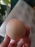 黃天鵝可生食雞蛋 30枚L級大蛋/3.6斤禮盒裝生鮮雞蛋京東自營(yíng)送禮 曬單實(shí)拍圖