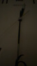 麗聲（RHYTHM）日本靜音夜光客廳大掛鐘家用輕奢簡(jiǎn)約時(shí)尚掛表32cm掛墻CMG635WR08 曬單實(shí)拍圖