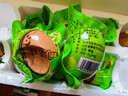瑾貝13天金鳳活珠子五香味50g*20枚新鮮開(kāi)袋即食加蘸料鋼化蛋熟雞胚蛋 曬單實(shí)拍圖