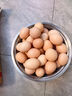 新鮮五谷喂養初生雞蛋40±5g/枚 12枚雞蛋 曬單實(shí)拍圖