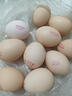 新鮮鮮雞蛋富硒蟲(chóng)草蛋50g谷物鮮蛋生鮮超市早餐溏心蛋和鮮生 10枚富硒蟲(chóng)草蛋（泡沫盒＋稻殼） 曬單實(shí)拍圖