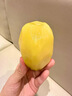 帆兒莊園黃心獼猴桃奇異果孕婦應季新鮮水果生鮮應季整箱大果當季彌猴桃 河南西峽【精品】特大果100-120g20枚 曬單實(shí)拍圖
