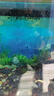 YEE硝化細菌魚(yú)缸凈水劑養魚(yú)水質(zhì)穩定凈化水族消毒消化活菌650ml  曬單實(shí)拍圖
