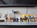 babycare&bctoys動(dòng)物玩具動(dòng)物桶熊貓老虎獅子長(cháng)頸鹿模型玩具 曬單實(shí)拍圖