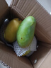 元珍鮮誠 海南青皮金煌甜心芒果當季直采芒果新鮮水果整箱送禮 含箱5斤凈重4.5斤（200-350g） 曬單實(shí)拍圖
