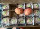 頂端果業(yè)洛川蘋(píng)果陜西延安紅富士新鮮水果孕婦吃的脆甜冰糖心蘋(píng)果 15枚70mm小蘋(píng)果禮盒 曬單實(shí)拍圖