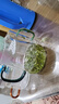 唯銘諾（WEIMINGNUO）水杯玻璃杯茶漏一體玻璃茶杯大容量帶濾網(wǎng)泡茶杯玻璃月牙杯 曬單實(shí)拍圖