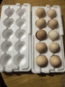 山林新鮮雞蛋鮮雞蛋當日現撿生鮮買(mǎi)菜單枚40g左右 當日現撿土雞蛋10枚 曬單實(shí)拍圖