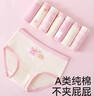棉奇熊女童內褲棉質(zhì)a類(lèi)兒童三角褲全棉短褲中大童女小女孩不夾屁屁-S 曬單實(shí)拍圖