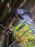 森森（SUNSUN）魚(yú)缸過(guò)濾器壁掛過(guò)濾桶外掛式凈水循環(huán)系統 【魚(yú)便收集】8W過(guò)濾器+濾材+硝化菌+排污管 曬單實(shí)拍圖