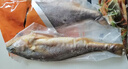 海名威 寧德三去黃花魚(yú)2斤/2條凈重 大黃魚(yú) 海鮮海魚(yú) 生鮮魚(yú)類(lèi) 地標認證 曬單實(shí)拍圖