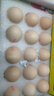 趣嘗鮮五谷鮮雞蛋15枚/盒 凈重750g 源頭直發(fā) 曬單實(shí)拍圖