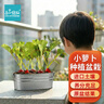 IAM City Farmer盆栽小蘿卜DIY種植趣味蘿卜種子家庭種菜幼兒園兒童好種易活10100 曬單實(shí)拍圖