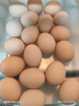 黃天鵝可生食雞蛋 30枚/3.18斤禮盒裝 生鮮雞蛋京東自營(yíng)送禮 曬單實(shí)拍圖
