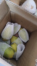 新鮮當季越南大青芒熱帶應季水果整箱大青芒生鮮 綠色 玉芒大青金煌芒350-500克（箱9斤凈重8.7斤） 曬單實(shí)拍圖