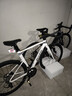 喜德盛公路自行車(chē)AD300油碟UCI車(chē)架2x10速中空一體牙盤(pán)桶軸破風(fēng)車(chē) 白蛇 540mm（適合身高175-185cm） 曬單實(shí)拍圖