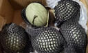 京鮮生 網(wǎng)紋蜜瓜 2粒裝 凈重4-5斤 單果2斤起 生鮮水果禮盒  曬單實(shí)拍圖