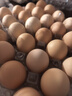 【無(wú)抗】七鮮 臻心柴雞蛋20枚1kg 曬單實(shí)拍圖