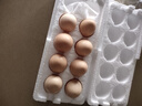 新鮮鮮雞蛋農家五谷喂養生鮮溏心蛋水煮蛋早餐超市 8枚 曬單實(shí)拍圖