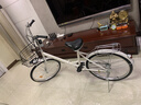 飛鴿城市自行車(chē)24英寸非變速男女式成人學(xué)生青少年城市休閑單車(chē) 白色 曬單實(shí)拍圖