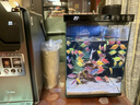 畫(huà)法幾何魚(yú)缸造景 小型魚(yú)缸米家智能魚(yú)缸專(zhuān)用蕨類(lèi)沉木造景套餐 曬單實(shí)拍圖
