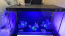 米家小米智能魚(yú)缸 一體整機免裝語(yǔ)音遙控半年免換水APP定時(shí)喂食水族箱 米家智能魚(yú)缸+物理濾芯 曬單實(shí)拍圖