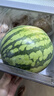 京鮮生 海南黃金哈密瓜 2粒 單果2.5斤起 凈重6-8斤 生鮮水果禮盒 曬單實(shí)拍圖