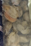 初鮮大號冷凍帶黃扇貝肉凈重2斤約80-120粒 燒烤火鍋食材海鮮貝類(lèi)送禮 曬單實(shí)拍圖