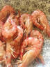 其他品牌 鮮活基圍蝦200g(12-20只) 曬單實(shí)拍圖