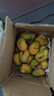 臺芒 芒果鮮現摘產(chǎn)地直發(fā)微花皮半黃發(fā)貨 3斤大果【帶箱】89g+（花皮介意慎拍） 曬單實(shí)拍圖