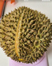 京鮮生泰國金枕榴蓮2-3斤 保3.5房 樹(shù)熟液氮冷凍新鮮生鮮水果禮盒 曬單實(shí)拍圖