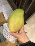 粵迎海南金煌芒新鮮芒果當季熱帶水果大煌芒超大特大甜心芒果包郵 5斤精選裝【單果200g+】?jì)糁?.5斤 曬單實(shí)拍圖