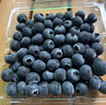 晟容果蔬云南花香藍莓【JD/順豐-多地次日達】孕婦當季鮮果應季新鮮水果 【爆款80%選】金獎·特級果 | 單果16-20mm 8盒裝【蕞劃算-全網(wǎng)比價(jià)】100g/盒 曬單實(shí)拍圖