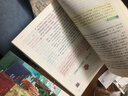 快樂(lè )讀書(shū)吧五年級下冊 全4冊 西游記+紅樓夢(mèng)+三國演義+水滸傳 贈同步閱讀手冊 四大名著(zhù)小學(xué)生寒假課外閱讀人教版教材配套閱讀書(shū)籍  曬單實(shí)拍圖