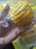 京地達云南水果玉米段 凈重4斤單果100g+ 低脂即食低脂甜玉米 源頭直發(fā) 曬單實(shí)拍圖