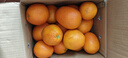 集年鮮源頭直發(fā)鮮采臍橙手剝甜橙子新鮮現摘生鮮水果整箱節日送禮 含箱10斤凈重9斤優(yōu)選果（單果160-280g) 曬單實(shí)拍圖